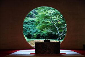 Wing Chun student practising Siu Nim Tao form in a calm setting, symbolising inner focus and self-discipline.