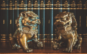 wckuk lion